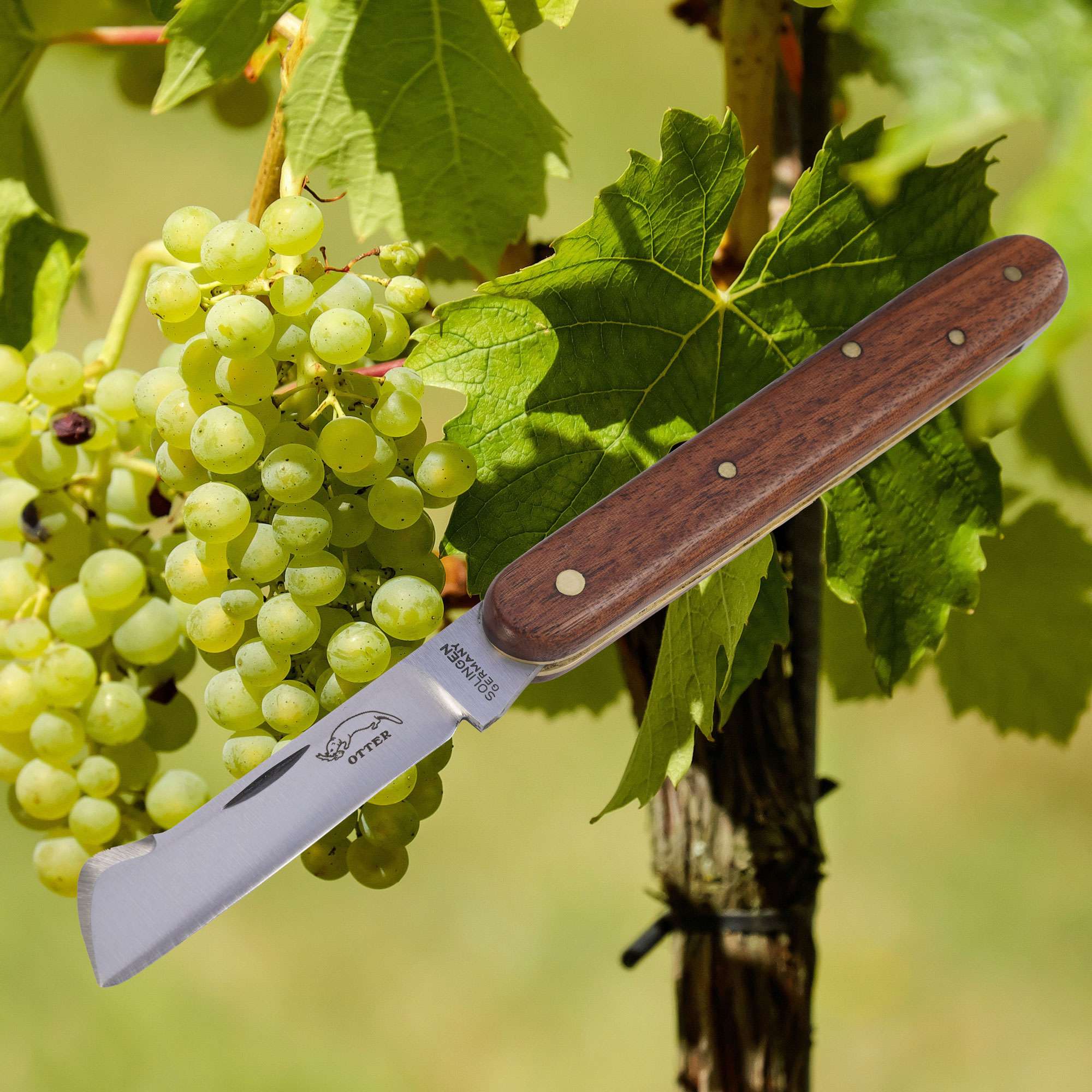 OTTER Okuliermesser mit Klingenlöser 123