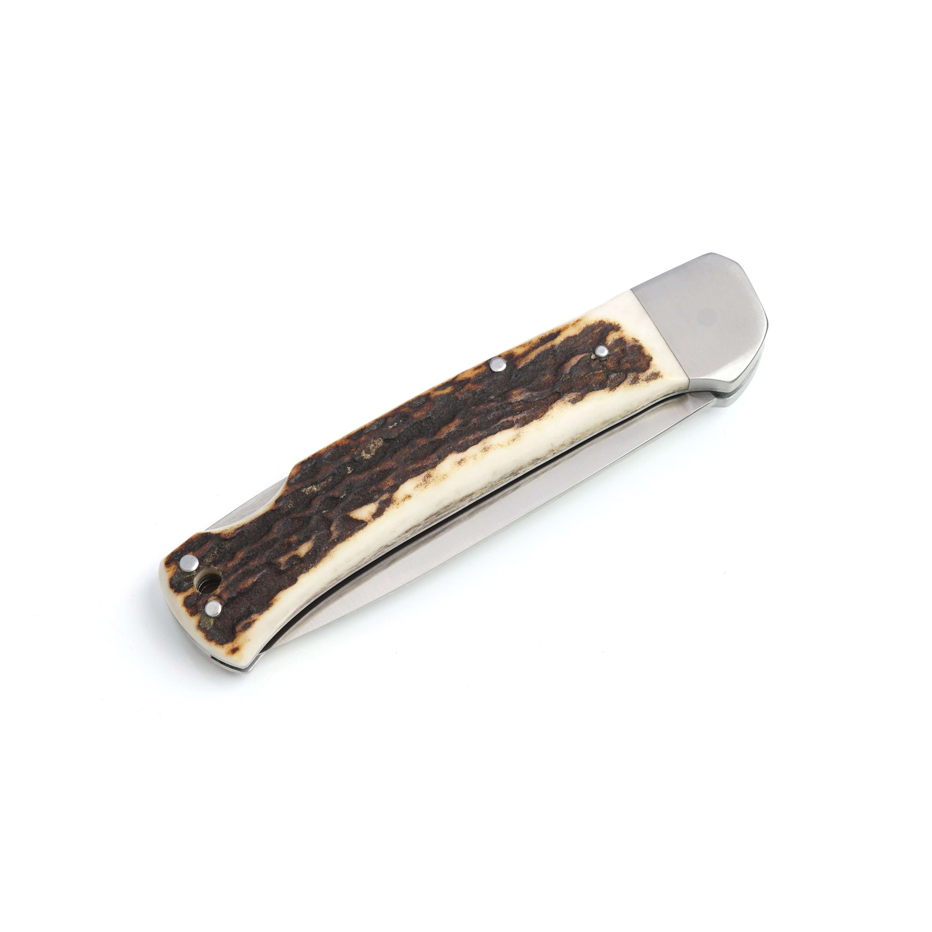 ROTWILD "Reineke" Hirschhorn* ROTWILD "Reineke" Hirschhorn*